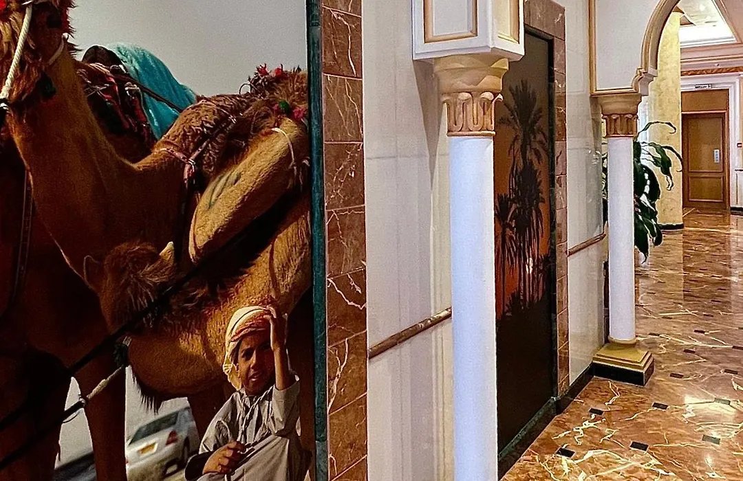 Al Maha International Hotel - property 44